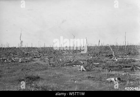 Photograph of Logged Off, Burned Over, Nonrestocking Private Land; Scope and content:  Original caption: Logged off, burned over, nonrestocking private land along Hwy. US 2. Stock Photo