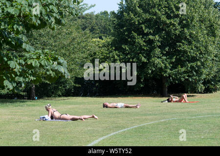 23/07/2019. Battersea, London, UK. People sunbath in Battersea Park in London during a heatwave across the UK. Stock Photo