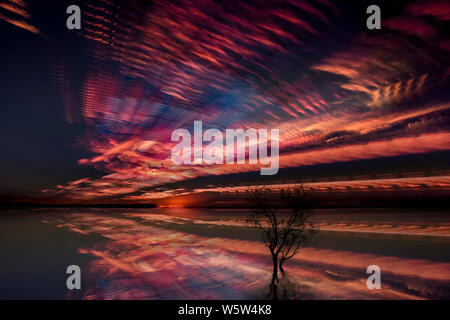 tree in the water during a cloudy and colorful sunset. You can see the trails of the clouds in the sky and reflected on the water Stock Photo