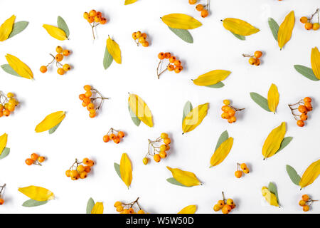 Autumn creative composition. Wreath made of leaves and rowan on white background. Autumn, fall, halloween, thanksgiving day concept. Flat lay, top vie Stock Photo