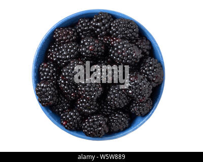 Ripe fresh blackberries in a bowl on white background. Top view. Stock Photo