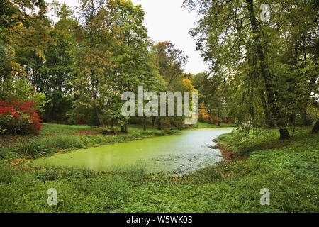 Pond in Yasnaya Polyana - Bright Glade homestead. Tula oblast. Russia Stock Photo