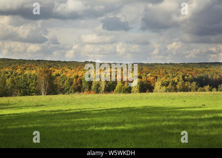 Landscape near Yasnaya Polyana - Bright Glade homestead. Tula oblast. Russia Stock Photo