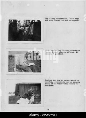 Photographs, with captions, of various activities among Owens Valley Indians in California, from Carson Agency Annual Extension Report for 1940 (Narrative Section). Stock Photo