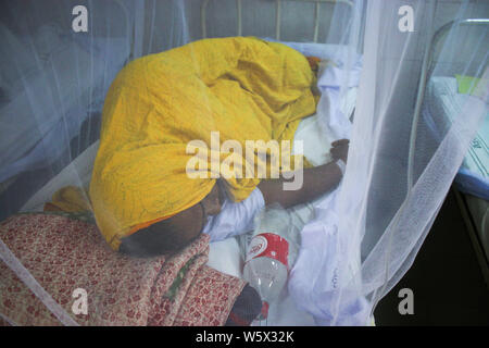 A Dengue patient in an emergency ward at the hospital sleeps under a mosquito net to help fight the spread of Dengue fever in Dhaka. This year, a total of 9,657 dengue patients were reported to have been hospitalised until July 30 since January 1, according to the Directorate General of Health Services (DGHS). Stock Photo