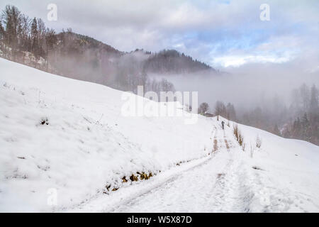 idyllic winter scenery near Ramsau bei Berchtesgaden in the Bavarian Alps Stock Photo