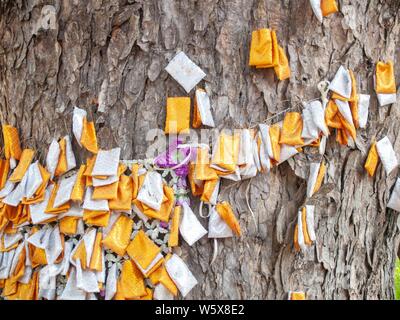 White orange fabric tied to the tree with a rope Is the belief of Thai people Stock Photo