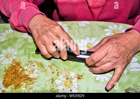 Making cigarettes handmade using rollers and tobacco on a table at home. Stock Photo