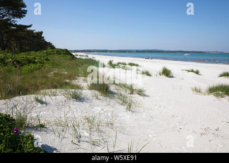 White sand and dunes of Balka strand on the island's south coast, Balka, Bornholm Island, Baltic sea, Denmark, Europe Stock Photo