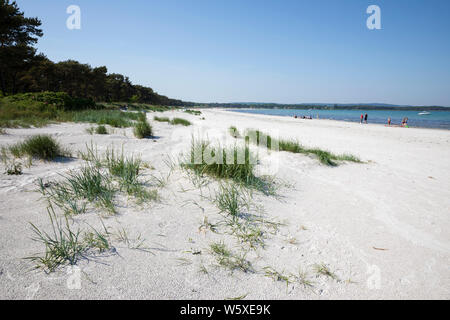 White sand and dunes of Balka strand on the island's south coast, Balka, Bornholm Island, Baltic sea, Denmark, Europe Stock Photo