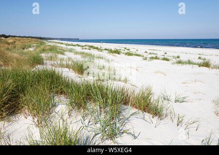 White sand beach of Dueodde on island's south coast, Dueodde, Bornholm Island, Baltic sea, Denmark, Europe Stock Photo