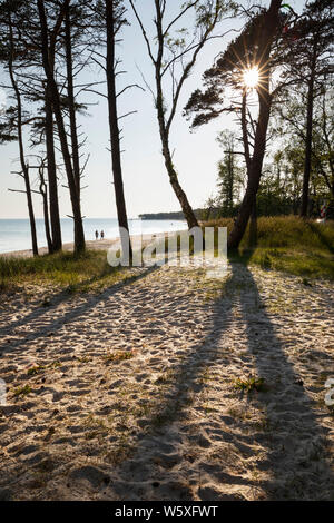 White sand beach of Dueodde on island's south coast, Dueodde, Bornholm Island, Baltic sea, Denmark, Europe