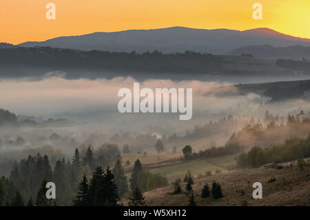 Beautiful autumn landscape with fog at sunrise in Carpathian mountains, Ukraine. Stock Photo