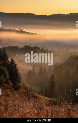 Beautiful autumn landscape with fog at sunrise in Carpathian mountains, Ukraine. Stock Photo