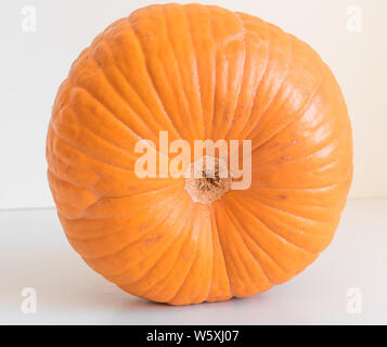 Small orange pumpkin isolated on white background Stock Photo