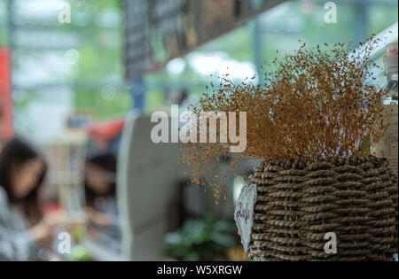 In the summer. It's in the cafe. Grass woven frame inside is the plant dried flowers. A dry yellow plant.A green view from the window. Stock Photo
