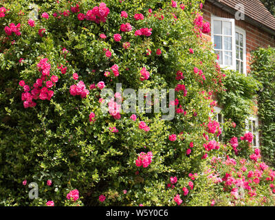 Cottage with Roses, Chiltern Hills AONB, Aldworth Village, Berkshire, England, UK, GB. Stock Photo