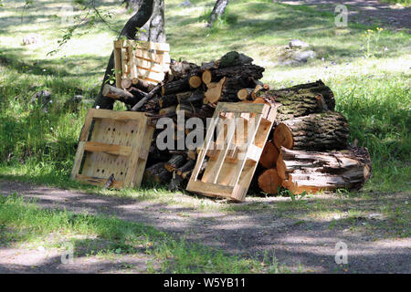 Pile of organic waste like cut tree pieces and wooden euro pallets laying on a grass in Helsinki during a sunny day. Multiple pallets and cut trees. Stock Photo