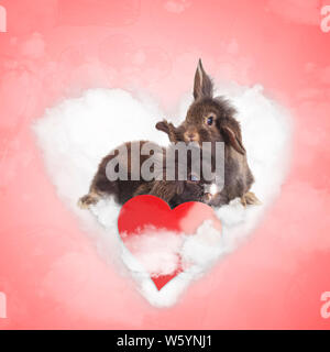 happy lionhead bunnies standing together on a love cloud on valentines day Stock Photo