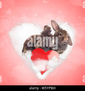 couple of cute bunnies sharing a love cloud, valentine's day concept Stock Photo