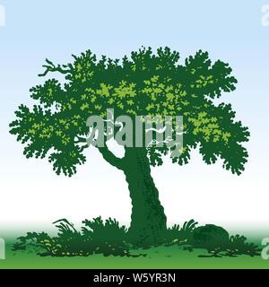 Vector illustration. Old oak tree icon in green tones. Isolated. Stock Vector