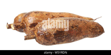 three yuca roots isolated on white  background Stock Photo