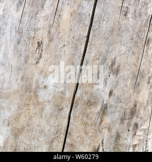 texture of old light wood Stock Photo