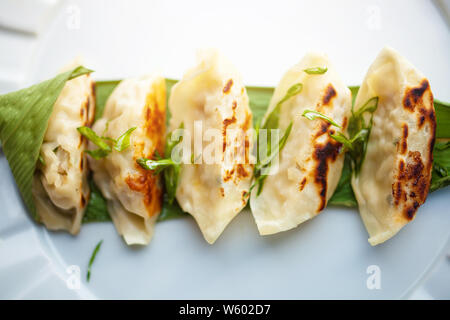 Freshly cooked dumplings on a plate Stock Photo