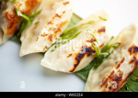 Freshly cooked dumplings on a plate Stock Photo