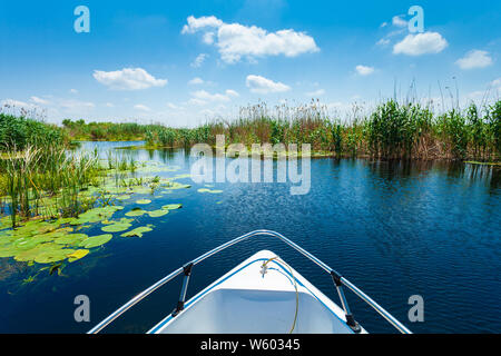 Beautiful water lilly and reed landscape in Danube Delta, Romania Stock Photo