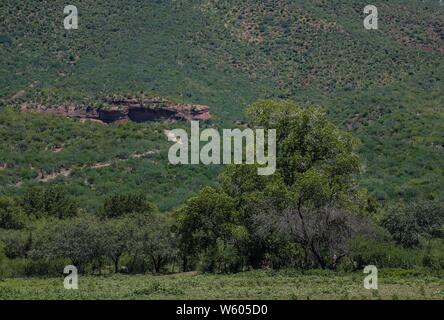 Granados, Sonora, Mexico. Sierra Alta. Sierra Madre Occidental. Pueblo. (Foto: LuisGutierrez/NortePhoto.com) Stock Photo