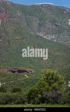 Granados, Sonora, Mexico. Sierra Alta. Sierra Madre Occidental. Pueblo. (Foto: LuisGutierrez/NortePhoto.com) Stock Photo