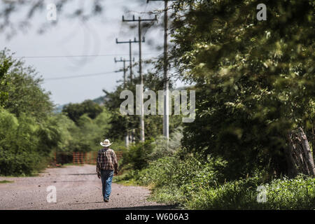 Vaquero, Cowboy.Granados, Sonora, Mexico. Sierra Alta. Sierra Madre Occidental. Pueblo.  (Foto: LuisGutierrez/NortePhoto.com) Stock Photo