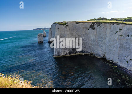 The Pinnacles stack of chalk rock formations on Ballard Down on the Isle of Purbeck during summer, Dorset, England, UK Stock Photo