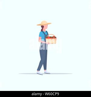 female farmer holding red ripe tomatoes basket woman harvesting vegetables agricultural worker eco farming concept flat full length Stock Vector