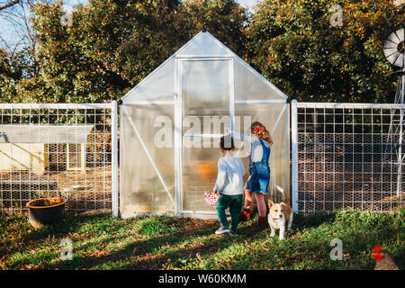 Young boy and girl opening backyard green house door in spring Stock Photo