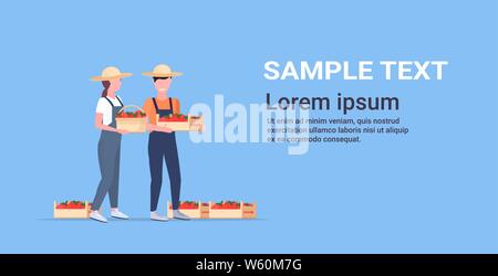 couple farmers holding red ripe tomatoes or apples box smiling man and woman harvesting vegetables and fruits agricultural worker eco farming concept Stock Vector