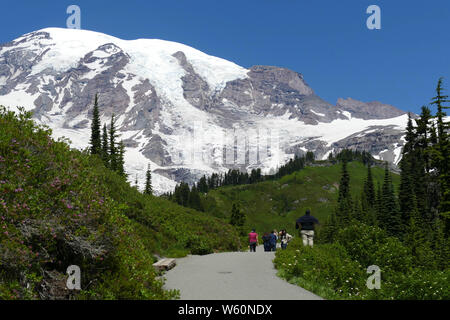 Hikers on trail above Paradise with the mountain in background, Mount Rainier National Park, Washington Stock Photo