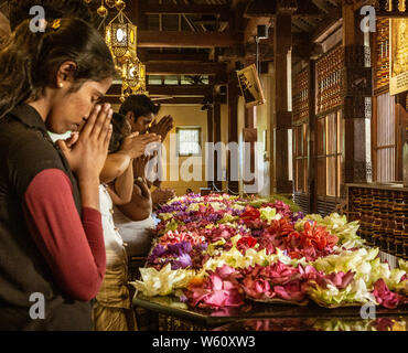 Kandy, Sri Lanka - 09-03-24 - People Place Flowers on Dais and Then Pray to Hindu Gods.