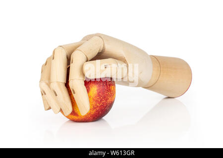 One whole fresh red nectarine in a wooden hand isolated on white background Stock Photo