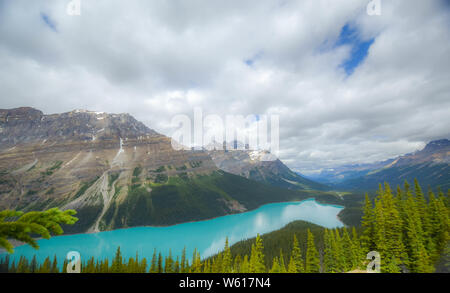 Peyto lake in Jasper Stock Photo