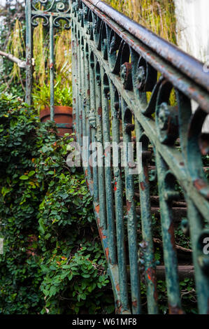Ivy growing along a staircase with wrought-iron railing Stock Photo