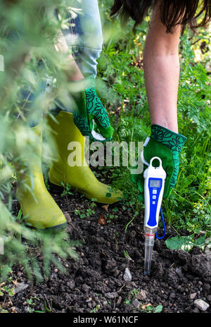 PH meter tester in soil. Measure soil with digital device. Woman farmer in a garden. Stock Photo