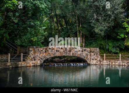 Bridge in El Yunque National Forest in San Juan, Puerto Rico Stock Photo