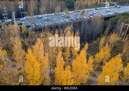 Cars shuttle back and forth in the aspen shelter forest at the foot of the Qinling or Qin Mountains, in Xi'an city, northwest China's Shaanxi province Stock Photo