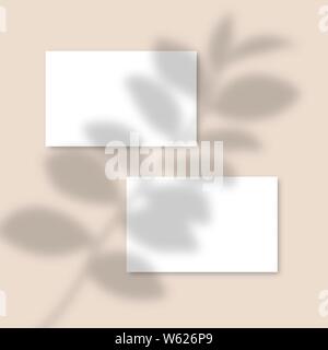 Pink Mockup horizontal business Card Mockup with realistic shadows overlays leaf. Vector Shadow Of A Tropical Plant. Template Flyer, Card, Poster, social media post, logo in minimal trendy style Stock Vector