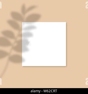 Square Paper Mockup with realistic shadows overlays leaf. Vector Shadow Of A Tropical Plant. Template Flyer, Poster, blank, social media post, logo template in a trendy style Stock Vector