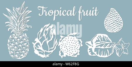 paper pineapple, pitahaya, Carambola, Salak. Tropical fruit isolated. Symbol of food, sweet, exotic, summer, vitamin healthy Nature sign plotter and s Stock Vector
