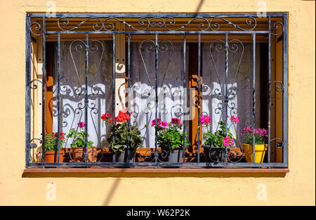 Three panel windows, with iron protective bars, with colourful flower pots on ledge, typical of Aragon region of Spain Stock Photo