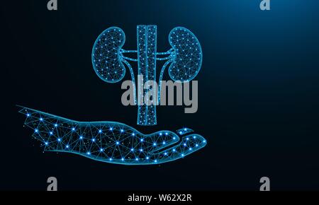 Hand and kidneys low poly design, human organ donor in polygonal style, human urinary system wireframe vector illustration made from points and lines Stock Vector